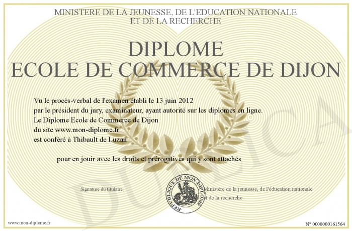 diplome ecole de commerce